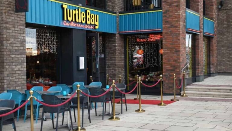 turtlebay 768x432